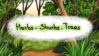 Types of Plants Part 1  Herbs Shrubs Trees  Learn to Remember [upl. by Janka]