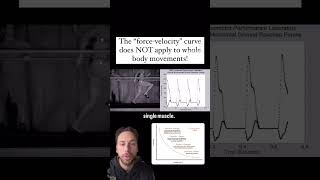 Does The Force Velocity Curve Relate To Whole Body Movement [upl. by Bettencourt]