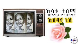 Esatu Tesema Abebaye Neshi እሳቱ ተሰማ አበባየ ነሺ DawitTsige [upl. by Lenneuq]