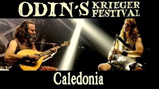 Caledonia  Odins Krieger Fest Brazil  RAPALJE Celtic Folk Music [upl. by Kandy]