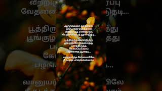 ஆற்றங்கரை ஓரத்திலே யாருமற்ற நேரத்திலேvaanuyartha solaiyilesong [upl. by Ainegue]