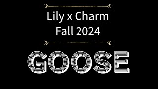 Temperament Test  Goose  Lily x Charm [upl. by Enomsed315]