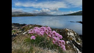 Beara Peninsula Adventure [upl. by Aciram]