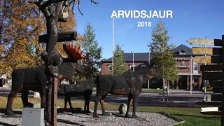 Arvidsjaur 2016 [upl. by Aicener]