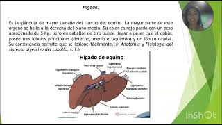 Tarea 2  Anatomía y fisiología de monogastricos [upl. by Adnowal]