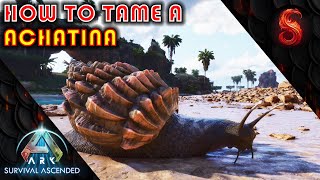 ARK SURVIVAL ASCENDED HOW TO TAME A ACHATINA [upl. by Hanway]