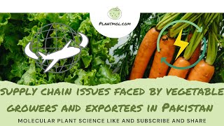 Supply Chain SolutionsVegetable Supply Chain issues and solution for vegetables in Pakistan [upl. by Leinahtan]