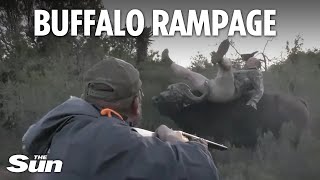 Shocking moment 2000lb buffalo FLIPS hunter amp punctures leg amid bullet barrage [upl. by Brendon]