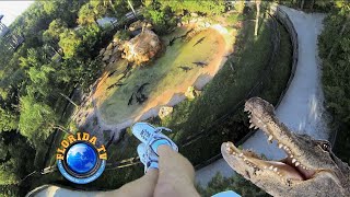 Gatorland Zipline Screamin Gator In Orlando Florida [upl. by Zildjian]