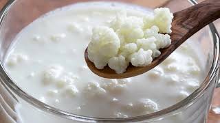 Make Kefir At Home [upl. by Irme257]