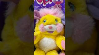 POPPLES POTATO CHIP vintagetoys 80s popples [upl. by Salvador77]