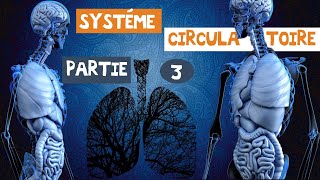 le système circulatoireles artères et les veines partie 3 [upl. by Eboj]