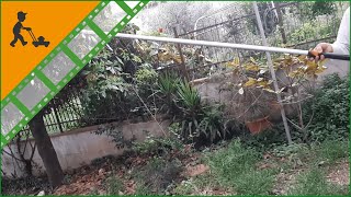 Heavyduty Fiskars UPX86 Telescopic Pruning Shears  240400 cm pole  Customers operating video [upl. by Eilsel]