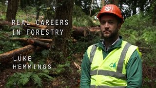 Real Careers in Forestry  Luke Hemmings [upl. by Schuh]