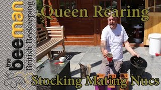 Queen Rearing Stocking Filling Apidea  Mating Nucs With Bees [upl. by Potter]