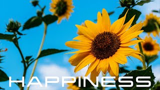 Rediscover Happiness  Powerful Subliminal to Overcome Depression [upl. by Ztnaj]