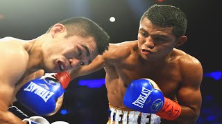 Roman Gonzalez vs Brian Viloria  Highlights Explosive FIGHT amp KNOCKOUT [upl. by Carri720]