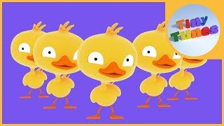 Five little ducks  Counting down from 5 Song  Tiny Tunes [upl. by Tabitha]