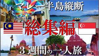 【マレー半島縦断の旅、3時間総集編】17年ぶりの王道ルート、将来の移住候補地を探し求める懐かしの旅、旅での支出データをもとにFIRE移住後の支出を算出 [upl. by Massie]