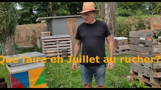 Multiplier ses colonies dabeilles très facilement en juillet [upl. by Auqenahc598]