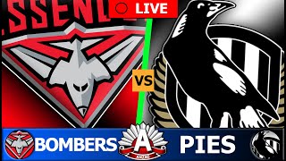 ESSENDON vs COLLINGWOOD  2024 AFL Round 7 Live Stream [upl. by Adian896]