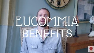 Eucommia Benefits Bone Health Libido Immunity [upl. by Aira]