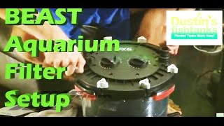 How to setup an Aquarium Filter Aquarium Fluval FX6 Filter Fx5 Swap for FX6 [upl. by Aihsela31]