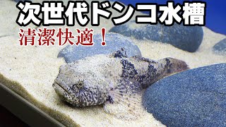 【ドンコ水槽立ち上げ】管理しやすい水槽とは？ 低床は珪砂【アクアリウム】 [upl. by Grania]