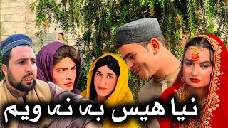 Nia Hes Ba Na Wem  Khpala Weena Drama Episode 56 By Charsadda Vines Director SadiqKhan 2024 [upl. by Battiste]