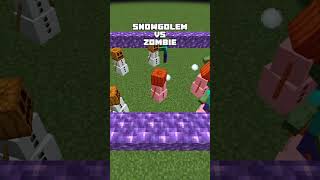 SnowGolem vs Minecraft Zombie minecraft minecraftbutrealityiswhateveriwant gaming [upl. by Neil853]