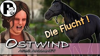 Angst um Ostwind 02 Ostwind 2 Aris Ankunft  Lets Play  Ostwind [upl. by Manella]