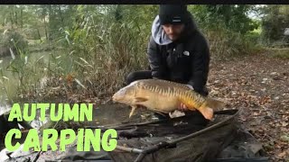 LAST CARP SESSION OF AUTUMN carpfishing [upl. by Aicelf]