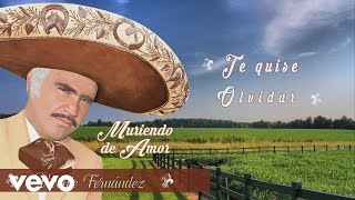 Vicente Fernández  Quisiera Saber Te Quise Olvidar Cover Audio [upl. by Masuh612]