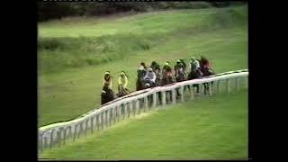 1979 Coral Northumberland Plate Handicap [upl. by Lorraine]