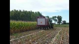 John Deere 6610 Forage Harvesting [upl. by Gnirps]