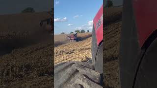 farming agriculture combine harvest caseih [upl. by Andree]