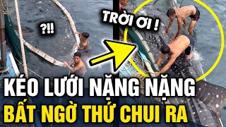 Đánh lưới được MẺ CÁ NẶNG các ngư dân tưởng trúng mánh ai dè BẮT NHẦM CÁ KHỦNG  Tin 3 Phút [upl. by Rasia621]