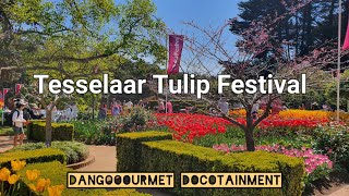 Tesselaar Tulip Festival 2024 tulipfestival tulipfarm tulips silvan victoria australia [upl. by Leis]