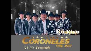 CORONELES DEL RIO En Vivo  Te He Prometido  Cover [upl. by Eibloc]