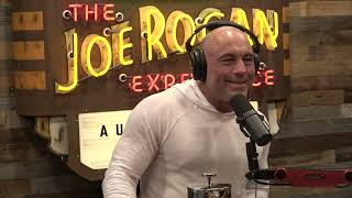 Joe Rogan Experience 2019  Tim Dillon [upl. by Bayless189]