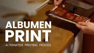 Alternative Printing Process Albumen [upl. by Eartha]