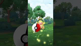 Pokémon Go  Excelangue Chromatique  pokemongo pogo chromatique shinypokemon shorts shiny [upl. by Mikeb]