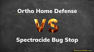 Ortho Home Defense vs Spectracide [upl. by Renat414]