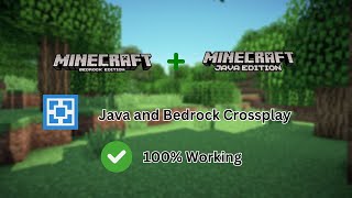 How To Make Aternos Server For Both Bedrock and Java Edition [upl. by Okram]