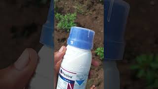 Plesiva syngenta insecticide spray [upl. by Leander]