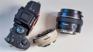 Using Canon EF lens on Sony EMount Camera [upl. by Akenahs]