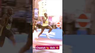 cheetah 🐆 bolt runningUsain Bolt running videousainbolt [upl. by Sorkin]