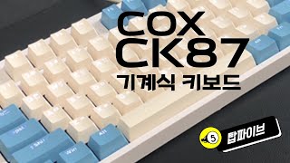 오르는 물가 비웃는 COX CK87 키보드  단점중심으로 정리해드림 [upl. by Akinet233]