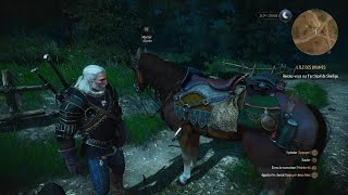 The Witcher 3 Wild Hunt [upl. by Beatrice787]