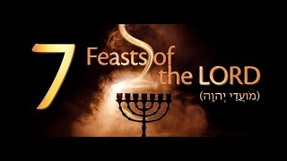 MUST WATCH Bible Study Leviticus 23 The 7 Feasts [upl. by Nemrak]